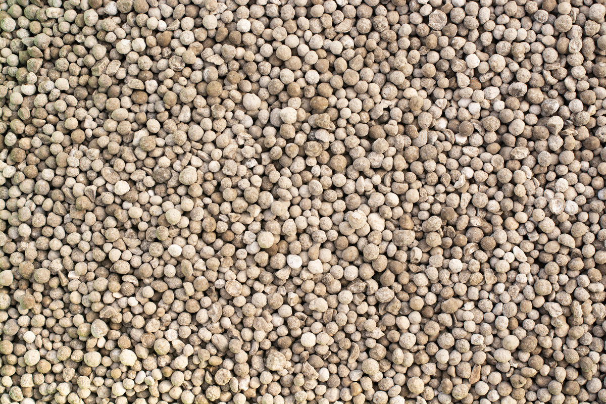 Granules of mineral fertilizer close-up.